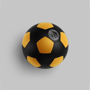 Football Academy Mini Skill Ball